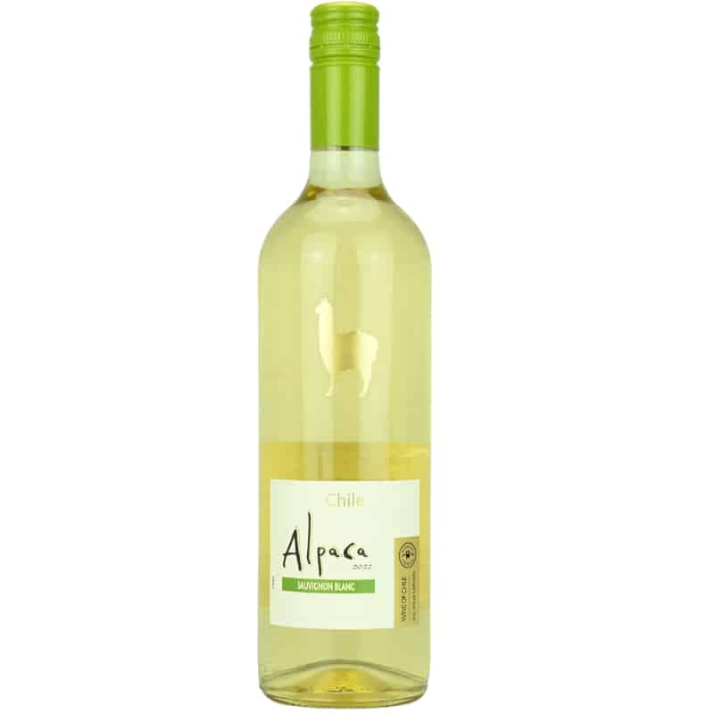 Feingeist Alpaca Sauvignon Blanc Front